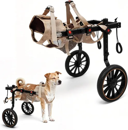 Silla de ruedas ajustable para perros grandes para patas traseras | Ayuda de rehabilitación para caminar con arnés y ruedas grandes para perros