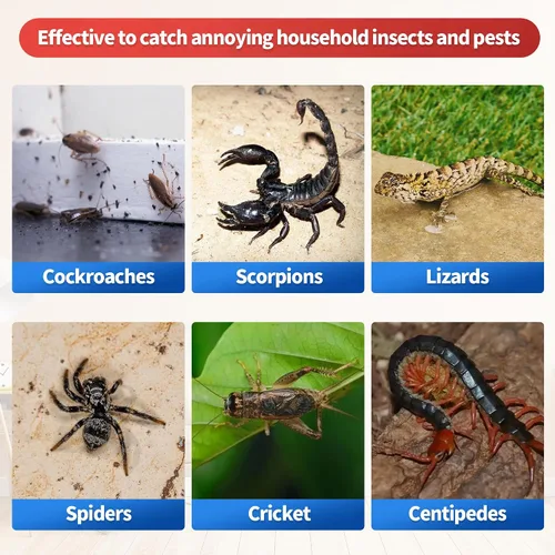 Miniatura 3 de LULUCATCH Trampas de Pegamento, Paquete de 12 Trampas para Ratones de Interior para el Hogar, Cazador de Insectos Adhesivo a Granel Pre-cebado No