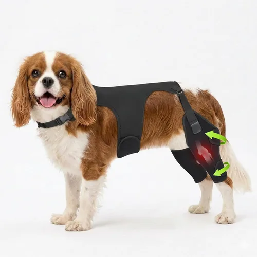 Miniatura 8 de Rodilleras para perro para pierna trasera, soporte ajustable para piernas con 2 estabilizadores, soporte de cadera para reducir el dolor, lesiones