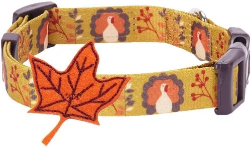 Miniatura 19 de Blueberry Pet-10 patrones de otoño, Halloween, Día de Acción de Gracias, collar de perro, etc., L, Pumpkin Calabaza
