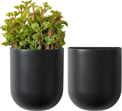 La Jolie Maison Macetas colgantes de pared para plantas de interior, macetas colgantes para plantas de aire suculentas, juego de 2, 6 pulgadas