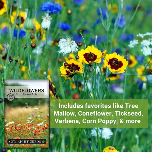 Miniatura 5 de Sow Right Seeds - Mezcla de semillas de flores silvestres para plantar en el sureste - Variedades tradicionales sin OMG para cultivar un jardín
