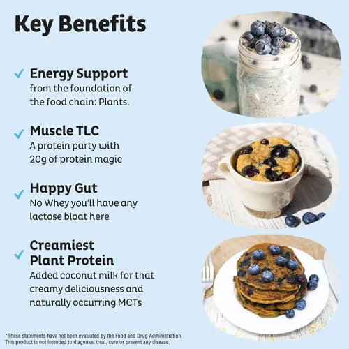 Miniatura 3 de KOS Proteína en polvo a base de plantas, muffin de arándano - Superalimento de proteína de guisantes orgánico con mezcla de espirulina y apoyo