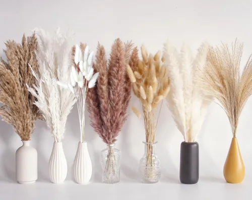 Bannifll 125 PCS Ramo de Hierba de Pampa Seca, Decoración de Mesa Boho, Flores Secas Cola de Conejo, Pampas Marrones, Hierba de Pampa Blanca para