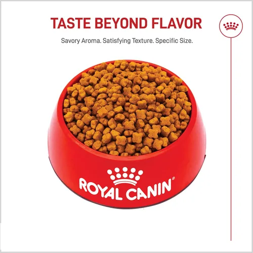 Miniatura 7 de Royal Canin Alimento Seco para Cachorros de Pastor Alemán Específico para la Raza, bolsa de 30 lb