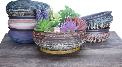 Miniatura 5 de ARTKETTY Macetas para Suculentas, Macetas Grandes para Suculentas de 8 Pulgadas con Drenaje, Maceta de Cerámica para Bonsái con Bandeja para Plantas
