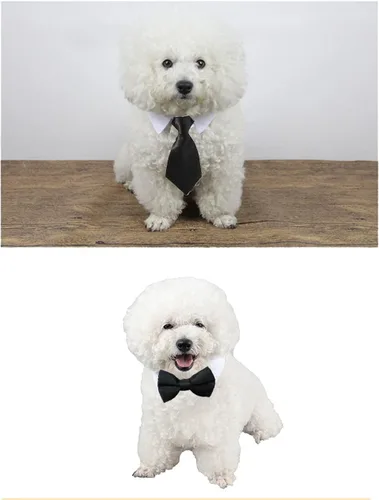 Miniatura 6 de 8 piezas de gafas de sol para mascotas, perro, gato, corbatín para mascotas, disfraz de mascota, collar formal ajustable para gatos, perros