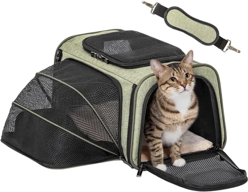 Petsfit Transportador Expandible para Conejos Transportador para Gatos Pequeños Aprobado por Aerolíneas, 16X10X9 Pulgadas Bolsa de Viaje Portátil de