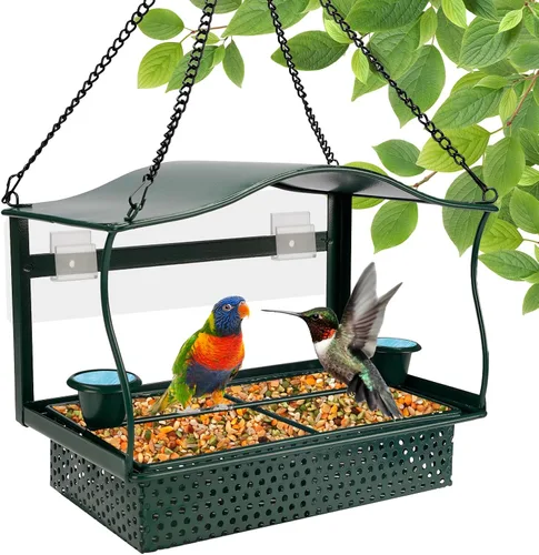 SliMpy Comedero para pájaros de ventana, metal, verde, 8.5 x 5 x 5 pulgadas, tipo ventana colgante, a prueba de ardillas, a prueba de ratas, para