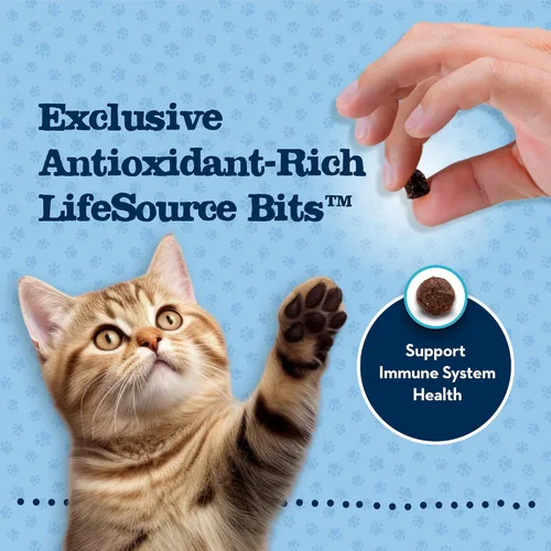 Miniatura 7 de Blue Buffalo Baby Blue - Comida seca natural para gatitos, fórmula de crecimiento saludable con DHA, receta de pollo y arroz integral, bolsa de 5