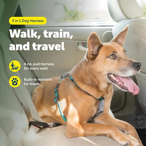 Miniatura 2 de PetSafe Arnés 3 en 1 – Cómodo arnés de pecho para perro fácil de caminar con accesorio de correa frontal para reducir tirones, asfixia y arcadas