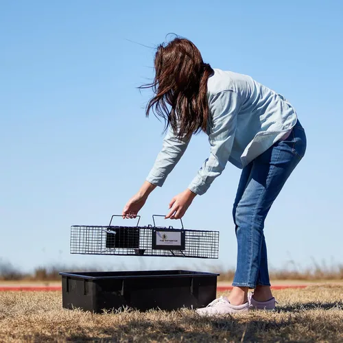 Miniatura 4 de Rugged Ranch Ratinator, trampa multi-captura para ratas, jaula humanitaria para interiores o exteriores, control de roedores para hogares, graneros