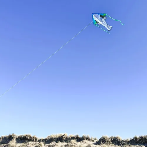 Miniatura 3 de In the Breeze Sea Life Fly-Hi Kite, cometa de una sola línea, tela Ripstop, línea y bolsa incluidas Manatí