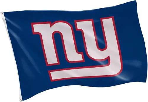 Miniatura 47 de Team Sports America NFL Buffalo Bills - Bandera duradera de 3 x 5 para exteriores con ojales, bandera y pancarta resistentes para jardín al aire