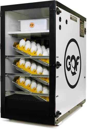 Pinnon Hatch Farms Incubator GQF 1502 - Incubadora de gabinete con capacidad para hasta 288 huevos de gallina, incluye más 6 bandejas para huevos