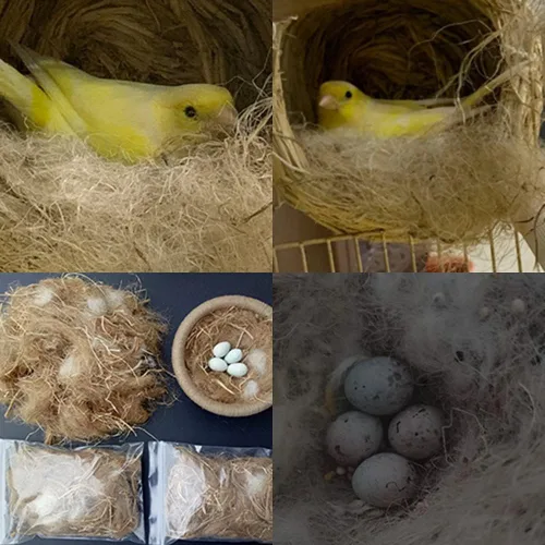 Miniatura 4 de Almohadillas de material de anidación de mezcla natural para nido de pájaros, material de nido de pájaro, ideal para construcción de nidos