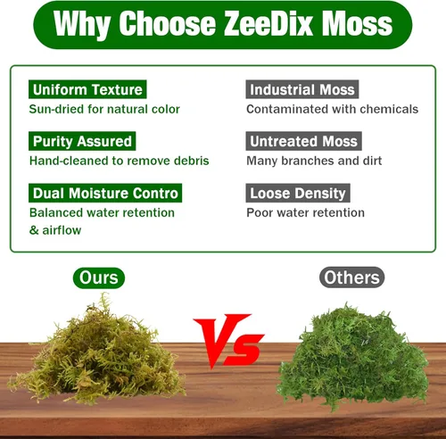 Miniatura 4 de ZeeDix 1.1 lb de musgo forestal para plantas de interior - Musgo de orquídea seco para replantar, musgo sphagnum verde natural para plantas