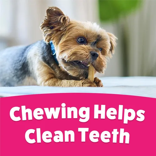 Miniatura 9 de Purina Busy Bone Dog Chew - Bocadillos para perros