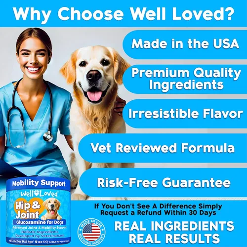 Miniatura 5 de Well Loved Glucosamina para perros - Suplemento articular para perros, fabricado en Estados Unidos, desarrollado por veterinarios, condroitina