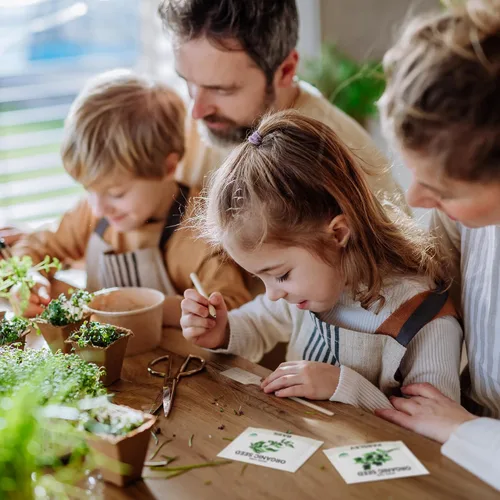 Miniatura 6 de Paquete variado de 5 semillas de hierbas orgánicas certificadas (4 veces más) más de 2,800 semillas sin OMG para plantar hierbas en interiores