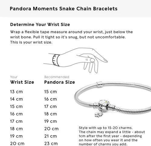 Miniatura 6 de PANDORA Moments - Pulsera de plata de ley 925 con cierre de margarita