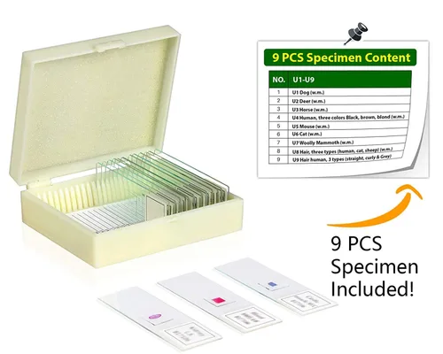 Miniatura 2 de VSH127 Juego de diapositivas preparadas – Tipo de cabello (juego de 9) Las muestras están selladas con cubierta Estuche deslizante ranurado