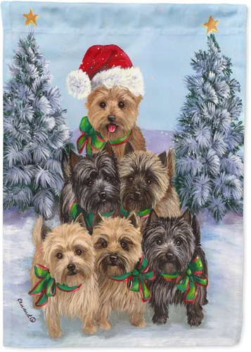 Miniatura 79 de Caroline's Treasures PPP3097CHF - Pijama de Navidad con diseño de bulldog francés para colgar en la pared, poliéster, tamaño de casa, multicolor