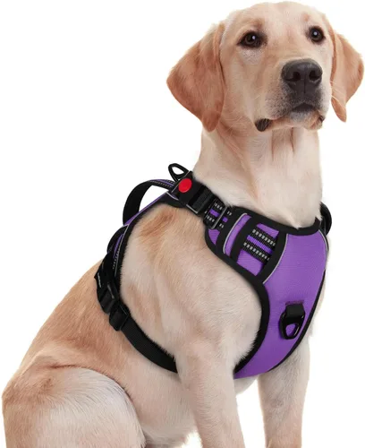 Miniatura 14 de rabbitgoo Arnés para perro de tamaño pequeño, arnés para mascotas sin tirones con mango acolchado suave, chaleco reflectante ajustable con 3