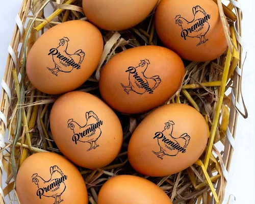 Miniatura 7 de STAMTECH Sellos de huevos para huevos frescos: deja tu marca en huevos frescos de granja con sello de huevo personalizado personalizable y fácil