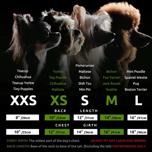 Miniatura 6 de Fitwarm Cuter Than Cupid - Vestido de tul para perro, linda ropa para chicas, ropa divertida para mascotas, rojo borgoña, talla S