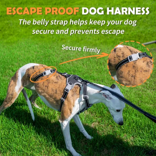 Miniatura 2 de Huntboo Arnés para perro a prueba de escapes, sin tirones, antideslizante, totalmente reflectante, diseño ajustable de 7 puntos para perros Negro