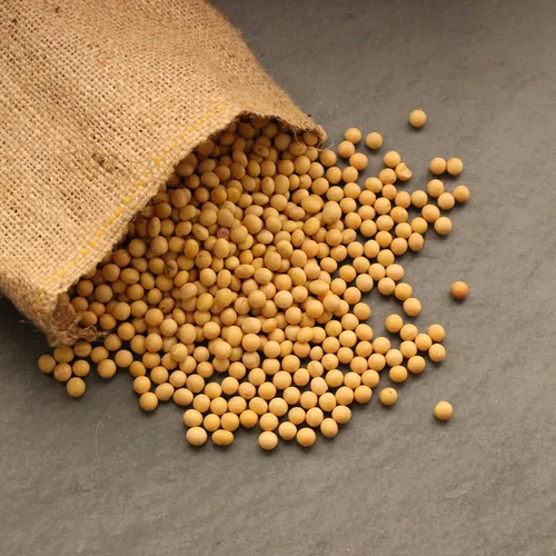 Miniatura 3 de Semillas de soja – Paquete de 1.06 oz ~ 175 semillas – Orgánicas, sin OMG – brotes germinantes, tofu, almacenamiento de alimentos, cultivo y huerto