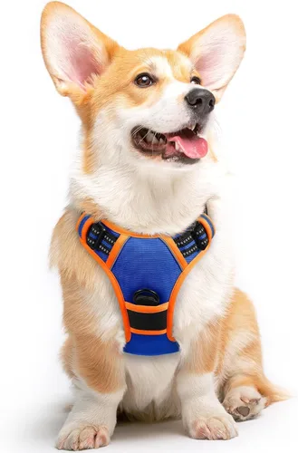 Miniatura 17 de Eagloo Arnés para perro pequeño, sin tirones, chaleco de servicio con tiras reflectantes y asa de control, ajustable y cómodo para caminar, arnés