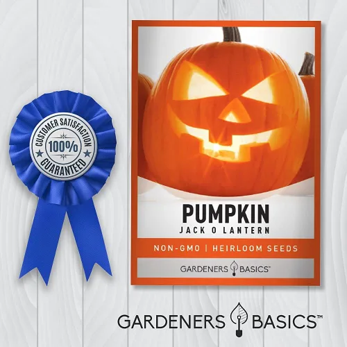 Miniatura 5 de Gardeners Basics, Semillas de calabaza para plantar (Jack O Lantern) reliquia, variedad de verduras sin OMG, 0.07 onzas de semillas ideales
