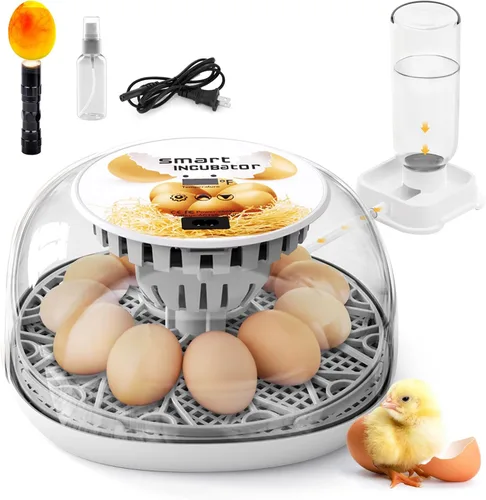Incubadora de huevos para incubar pollitos, girador automático de huevos con capacidad para 12 huevos, incubadora inteligente con ventana