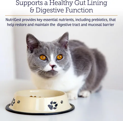 Miniatura 3 de Rx Vitamins NutriGest Cápsulas para gatos y perros - Probióticos para la salud digestiva mejorados con glucosamina para apoyo a la salud intestinal