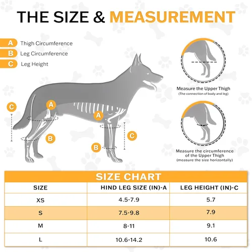 Miniatura 2 de Rodillera para perro – Soporte ajustable para pierna trasera para desgarro de ACL, dolor en las articulaciones, artritis y recuperación de lesiones.
