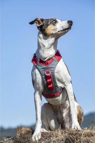 Miniatura 2 de Arnés para perro Kurgo Journey Air - Ajuste seguro para perros activos - Pecho acolchado - Tela Ripstop ligera - Malla transpirable - Borde Rojo