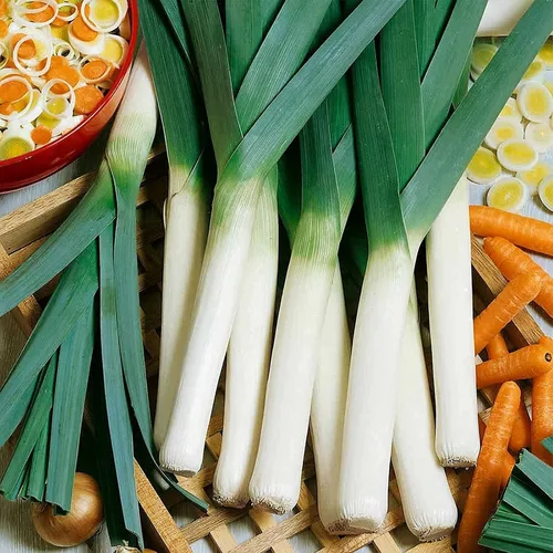 1000 semillas grandes de puerro con bandera estadounidense para plantar cebolla tradicional italiana de día corto. Sin OMG, 0.11 oz de vegetales,