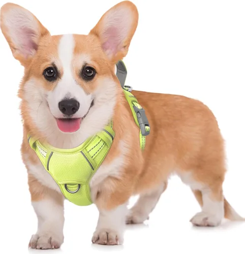 Miniatura 62 de BARKBAY Arnés para Perro Sin Tirones Talla Grande Arnés Reflectante para Perro con Clip Frontal y Asa de Control Fácil para Caminar Entrenar Correr