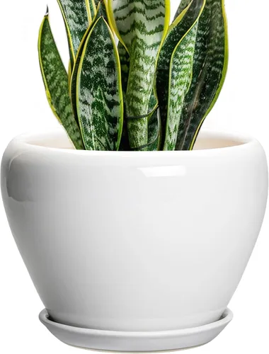 Miniatura 75 de Maceta de Cerámica Moderna con Esmalte para Suculentas con Agujero de Drenaje y Platillo, Maceta Redonda de 6 Pulgadas para Plantas de Flores