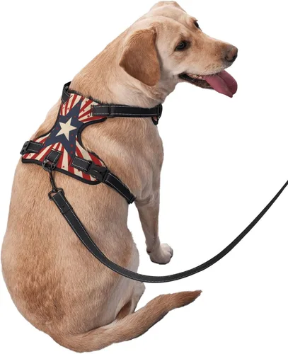 Miniatura 3 de Arnés de estrella para perros pequeños con correa sin tirones, 2 clips para correa, ajustable, suave, con bandera estadounidense, juego de chaleco