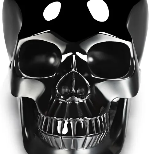 Miniatura 4 de Skullis Cráneo de cristal de obsidiana negra de 5.0 pulgadas, escultura artística de piedras preciosas talladas a mano, estatua de piedra curativa