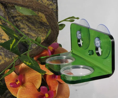 Miniatura 3 de Plato de comida Gecko crestado, 100 unidades, tazas de alimentación de reptiles de plástico de 0.5 onzas