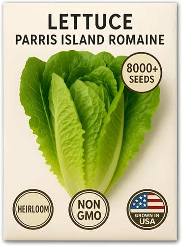 Miniatura 6 de Semillas de lechuga romana – Parris Island Cos, más de 8000 semillas reliquia sin OGM, paquete a granel de alta germinación, cultivadas en EE.UU.