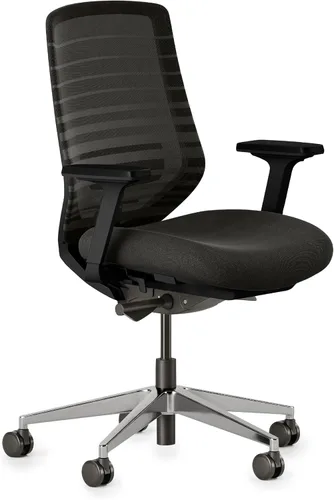 Miniatura 11 de Silla ergonómica Branch - Una silla de escritorio versátil con soporte lumbar ajustable, respaldo de malla transpirable y ruedas suaves - Grafito