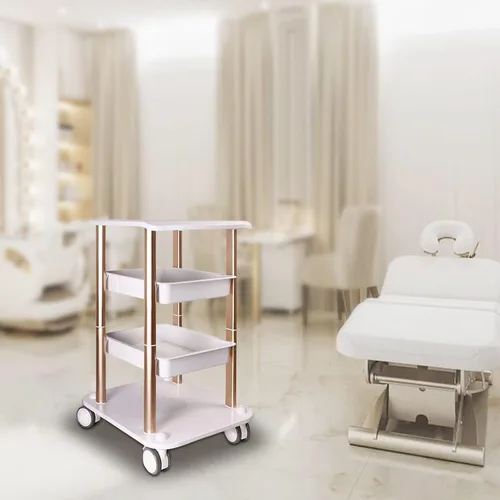 Miniatura 3 de Carrito de salón facial con ruedas, carrito de 4 capas - Carrito rodante, bandeja de carrito de salón de belleza con ruedas plateadas Capacidad