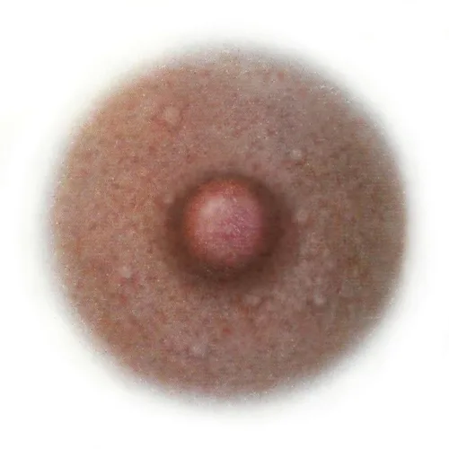 Miniatura 4 de Tatuajes temporales de cáncer de mama para mujeres, tamaño mediano de 1.25 pulgadas, paquete de muestra