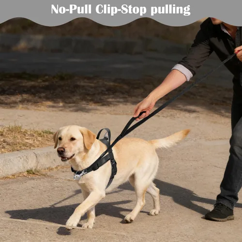 Miniatura 6 de Annchwool Arnés para perro sin tirones con clip frontal y asa de fácil control, arnés ajustable para el vientre y el pecho y correa para perros
