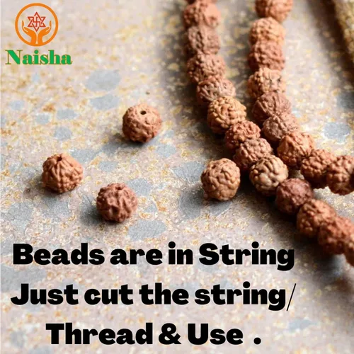 Miniatura 2 de Naisha Natural Rudraksh - 121 cuentas sueltas de Rudraksha Mala, cuentas de oración genuinas de meditación del Himalaya, cuentas Bodhi de 0.35-0.55